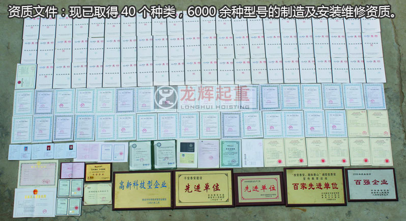 山東龍輝起重機(jī)械有限公司資質(zhì)文件 山東龍輝起重機(jī)械有限公司資質(zhì)文件